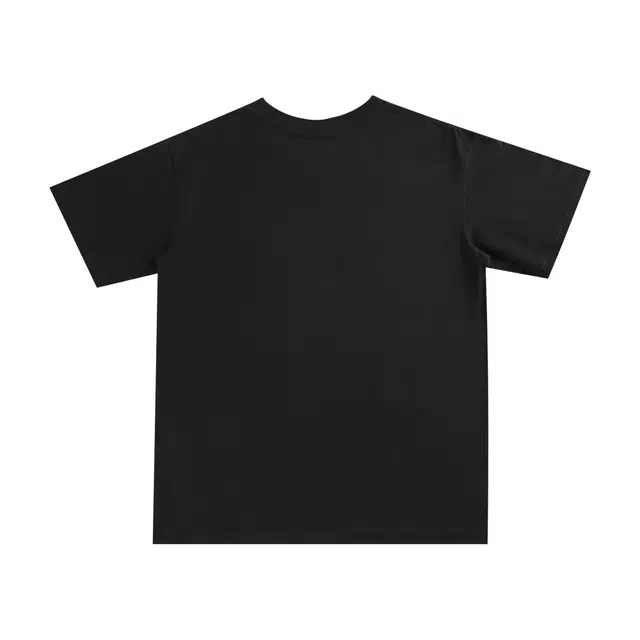 Kawasaki T