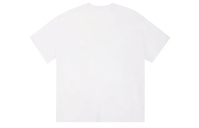 ICONS Lab T
