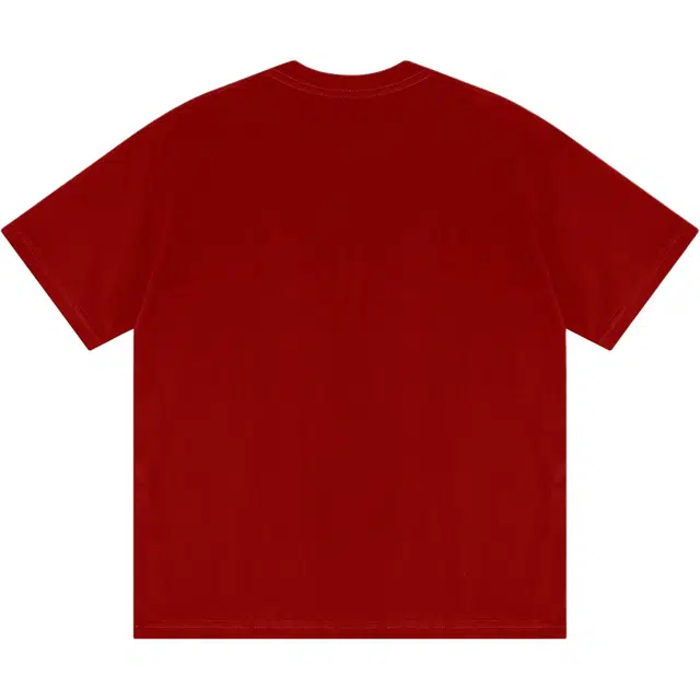 INS logo230teeT
