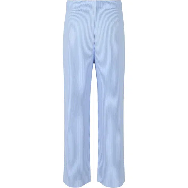 Homme Pliss Issey Miyake
