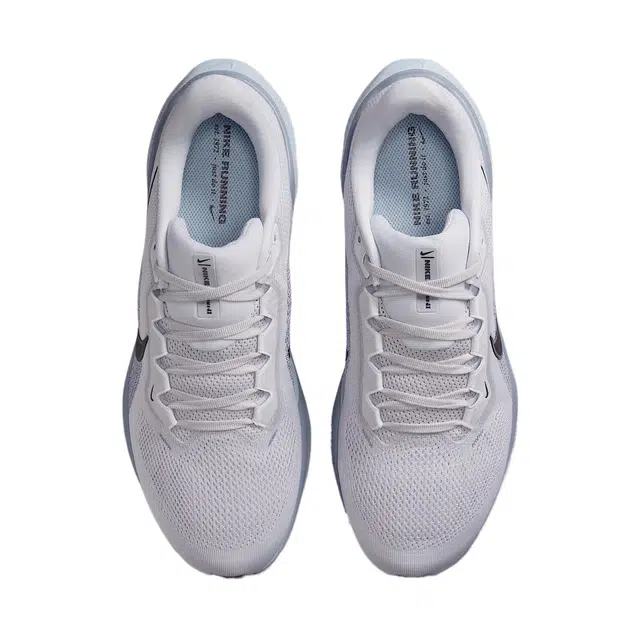 Nike Pegasus 41