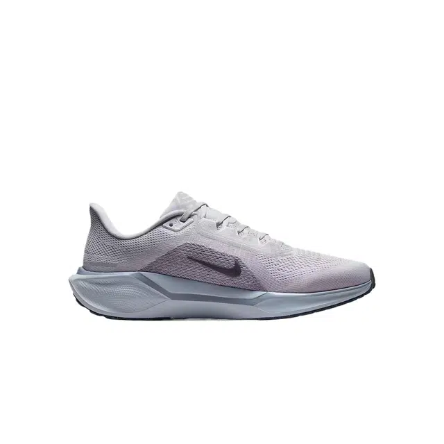 Nike Pegasus 41