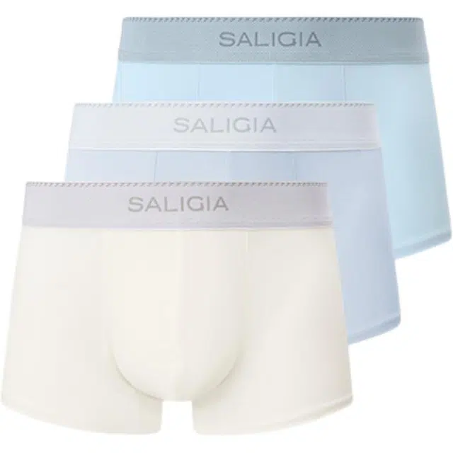 SALIGIA 100S 3