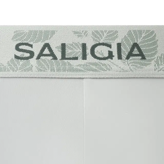 SALIGIA 3