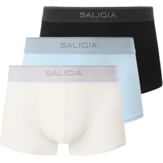SALIGIA 100S 3