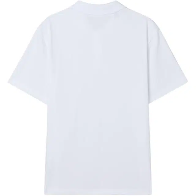 GUESS T