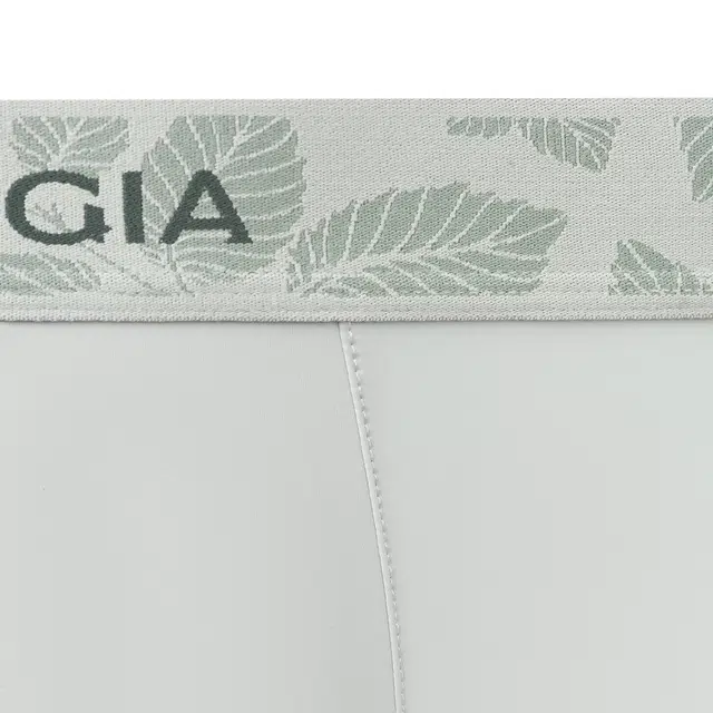 SALIGIA 3