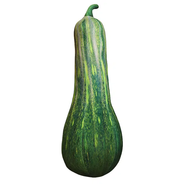 20cm40cm60cm80cm100cm120cm