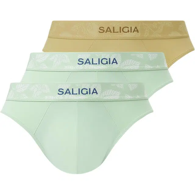 SALIGIA 3