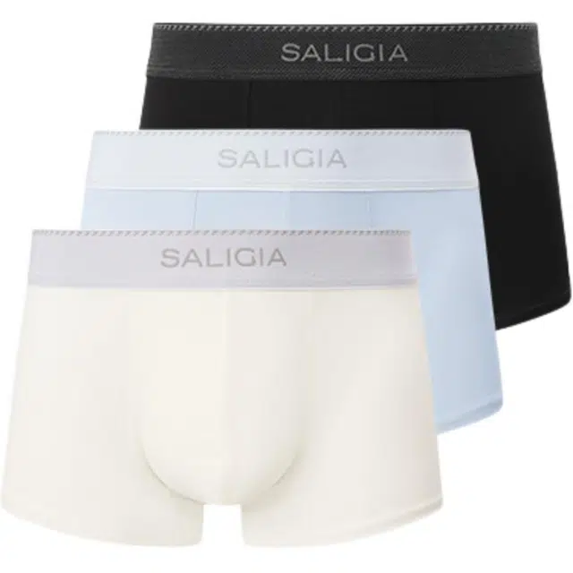 SALIGIA 100S 3