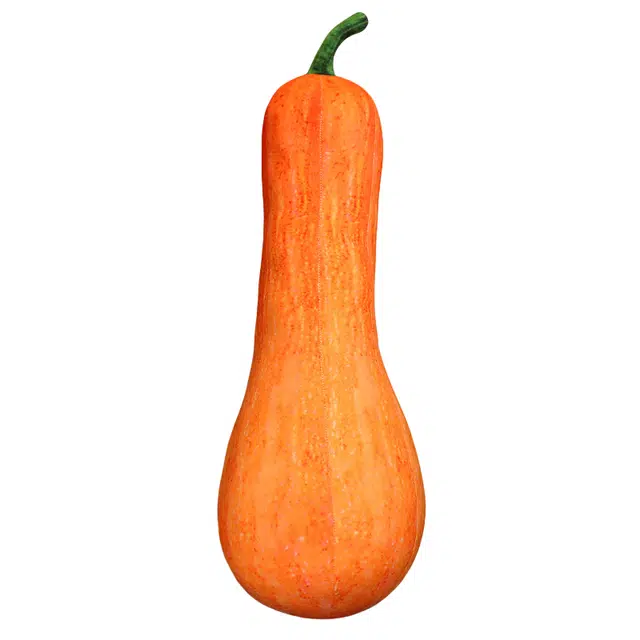 20cm40cm60cm80cm100cm120cm