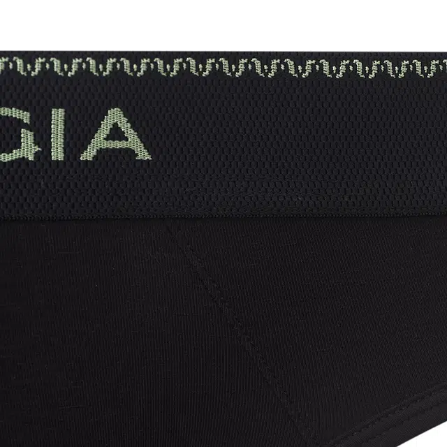 SALIGIA 3