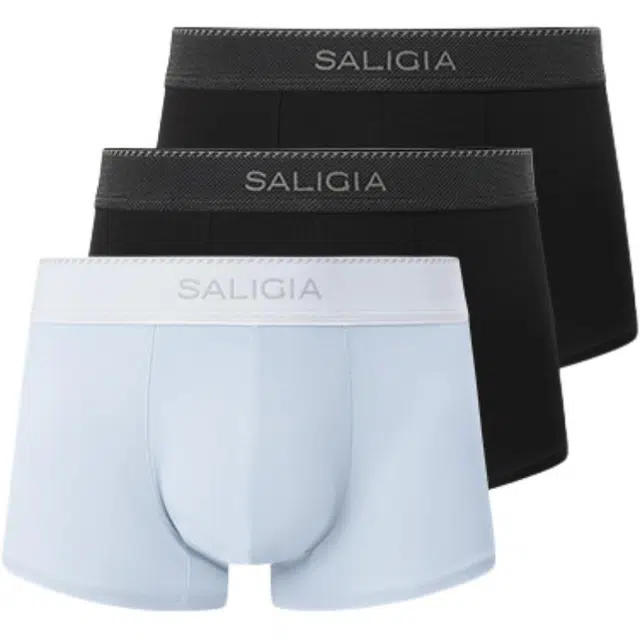 SALIGIA 100S 3