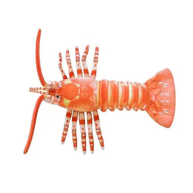 MORTEN SOLUM 55cm78cm