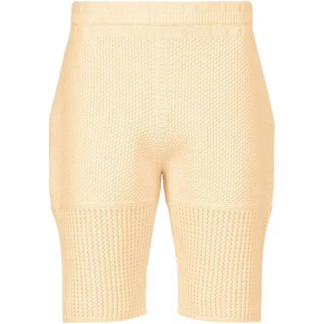 Homme Pliss Issey Miyake