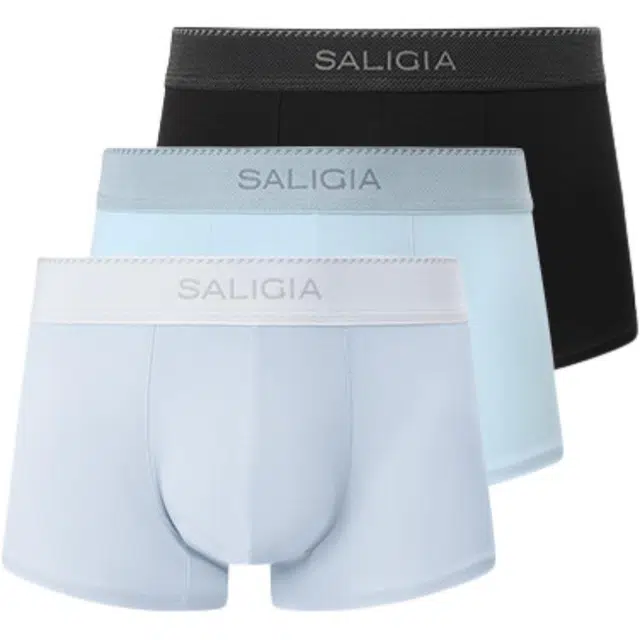 SALIGIA 100S 3