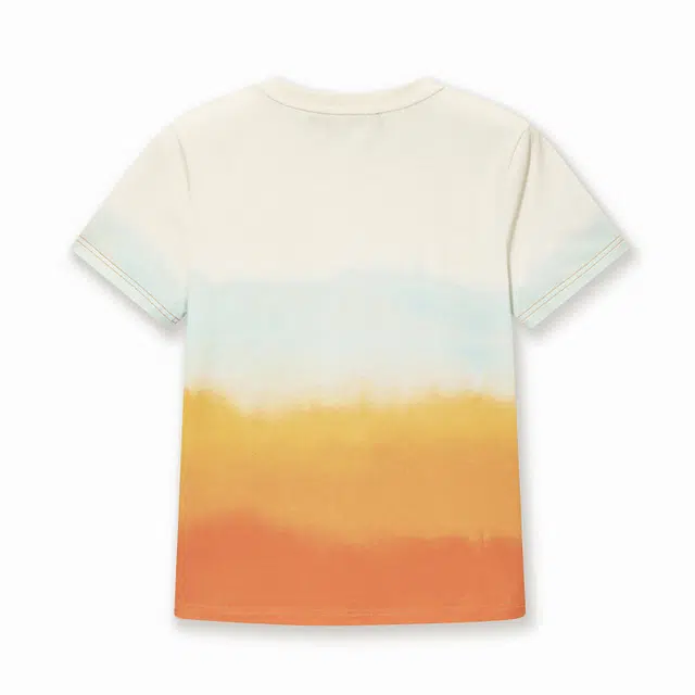 Desigual T