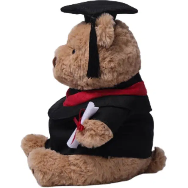 McHugs 25cm