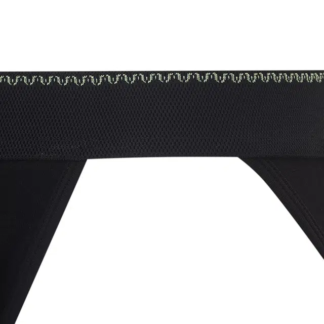 SALIGIA 3