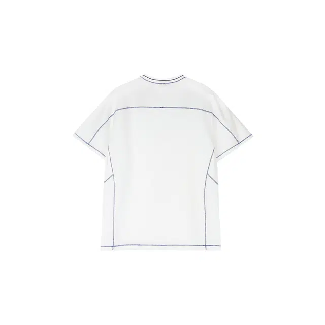 ROARINGWILD T