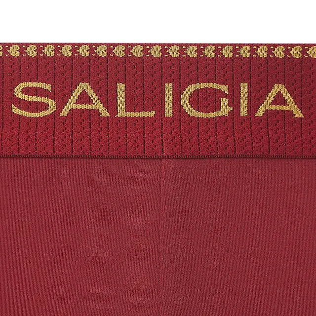 SALIGIA 3