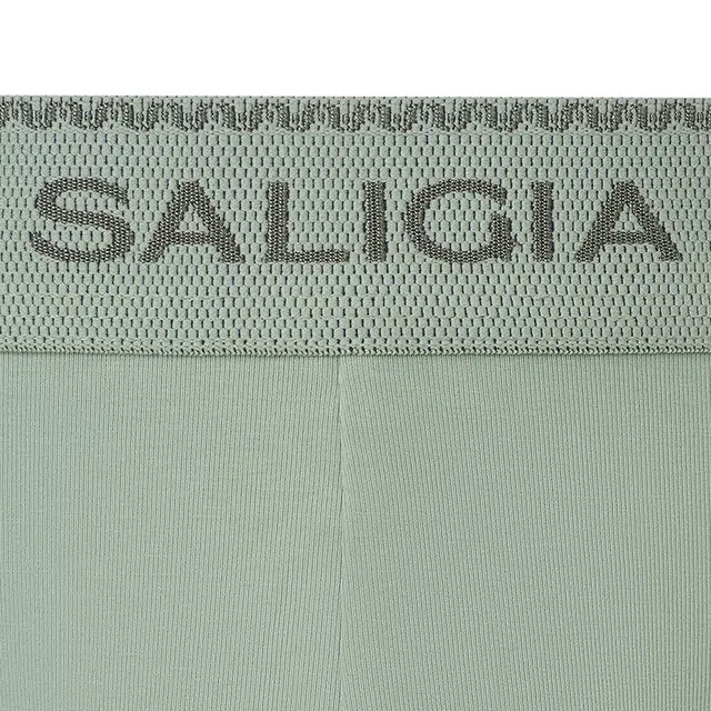 SALIGIA 3