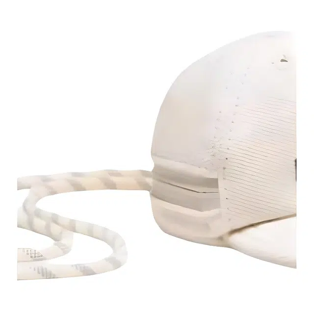 lululemon Ball Cap