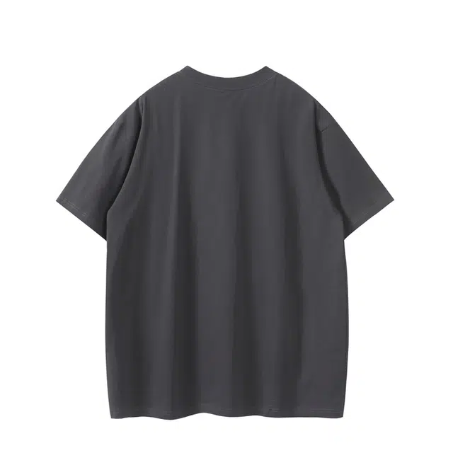 PINSCIO ZENIE T