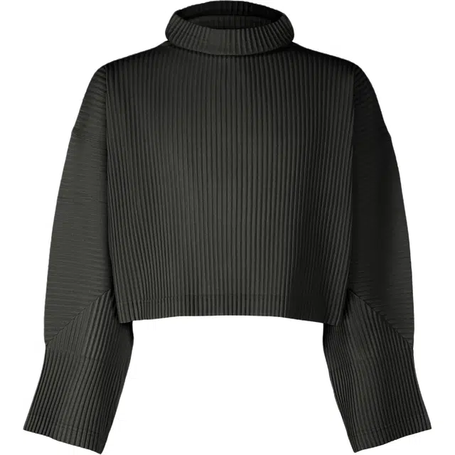 Homme Pliss Issey Miyake T