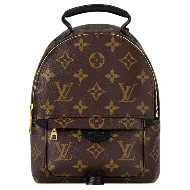 Louis Vuitton Palm Springs Mini