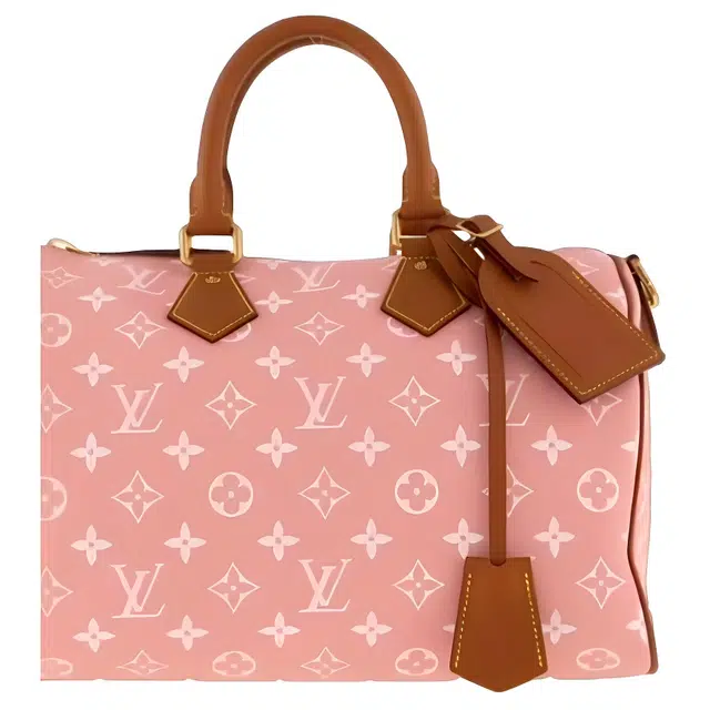 LOUIS VUITTON x Nigo Speedy 25