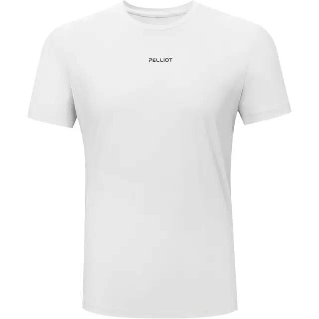 PELLIOT T
