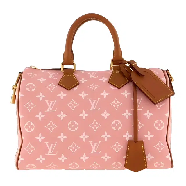 LOUIS VUITTON x Nigo Speedy 25