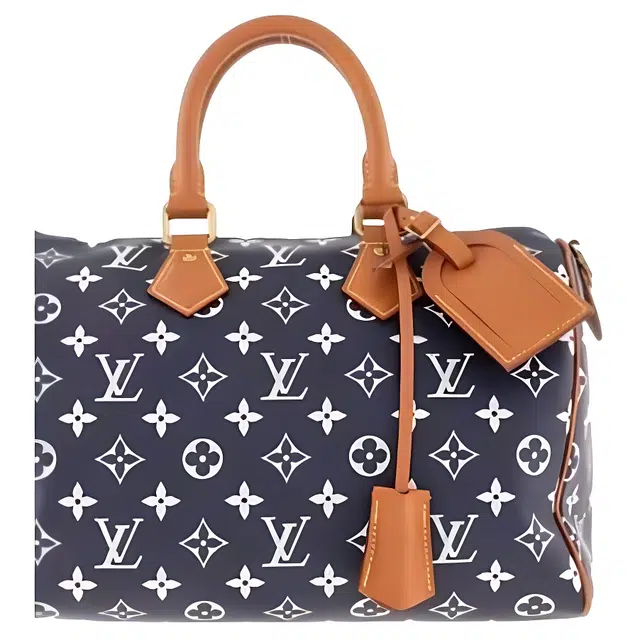 LOUIS VUITTON x Nigo Speedy 25