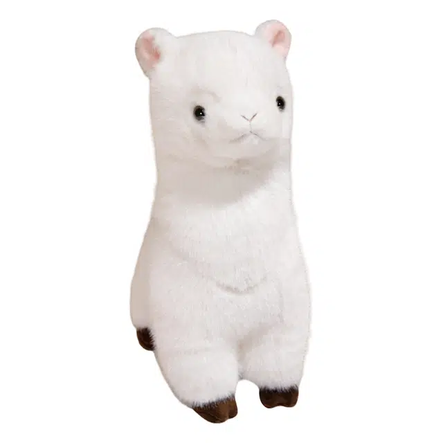 30cm40cm