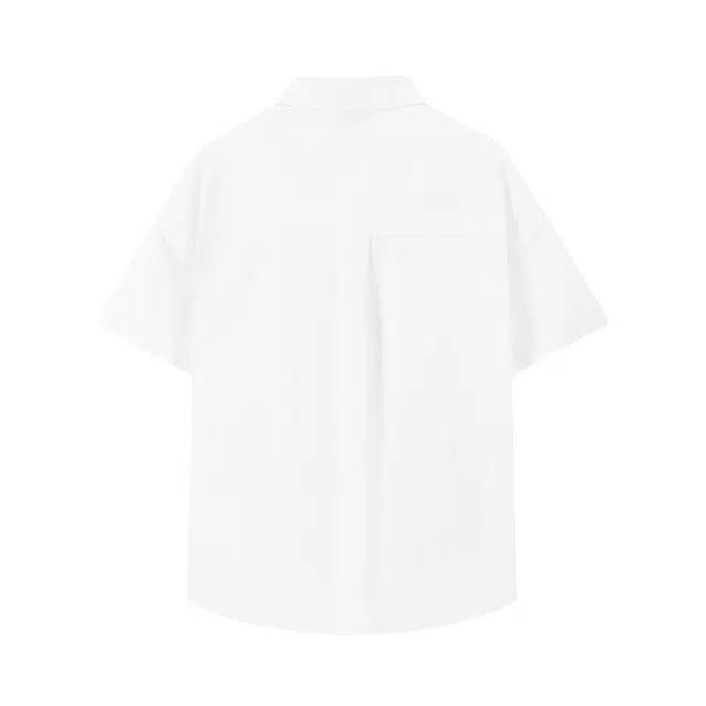 PVPVPV
