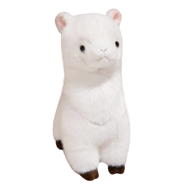 30cm40cm