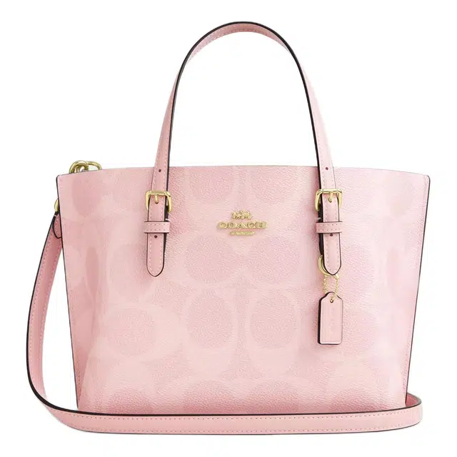 COACH Mollie 25 Tote
