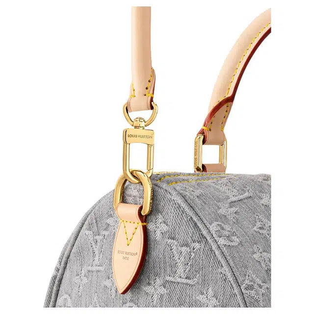 LOUIS VUITTON Speedy Soft 30