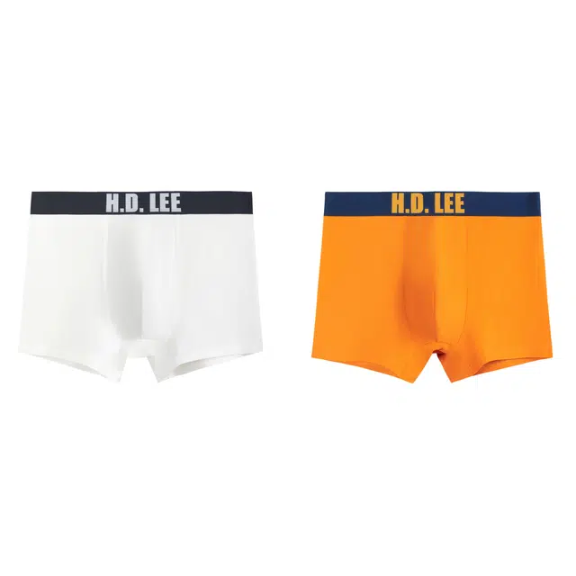 Lee 2