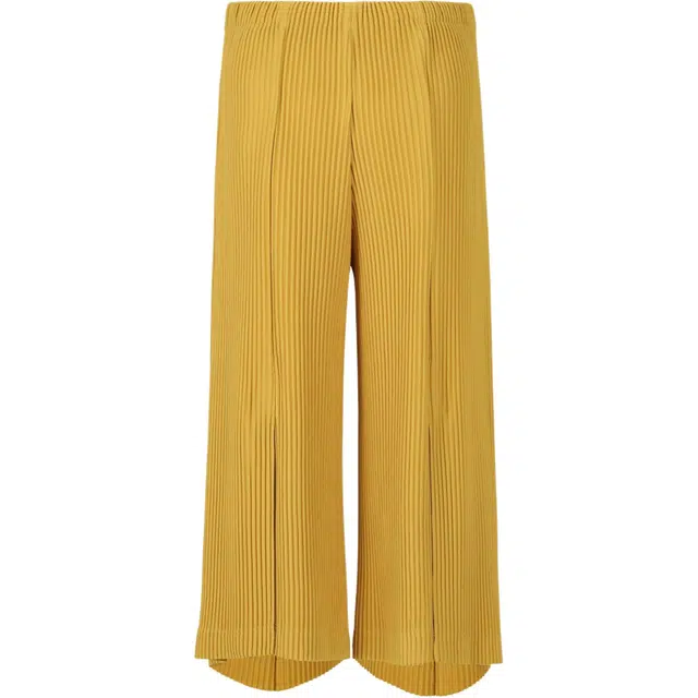 Homme Pliss Issey Miyake
