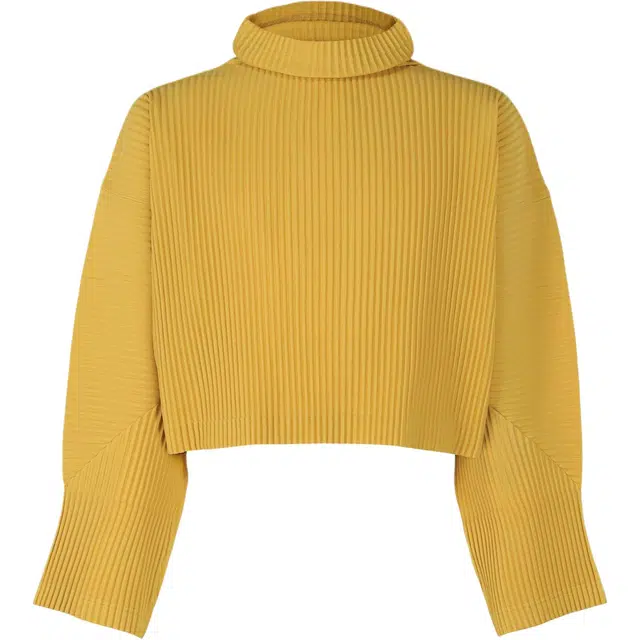 Homme Pliss Issey Miyake T
