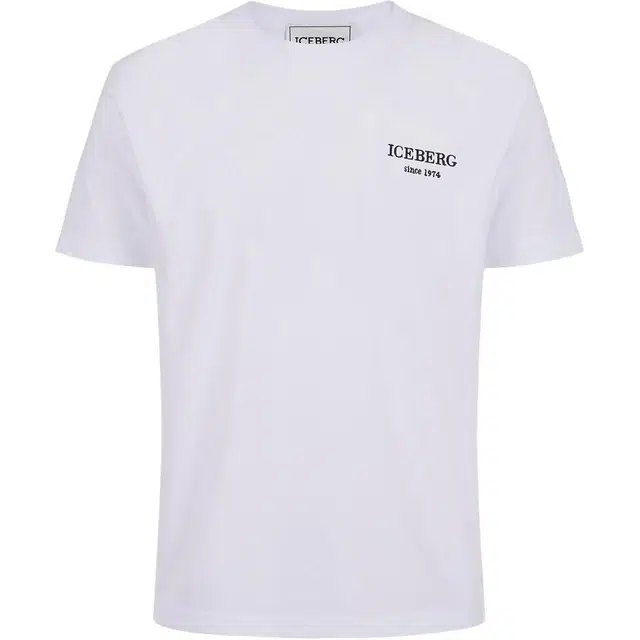 iceberg T