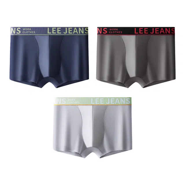 Lee 3