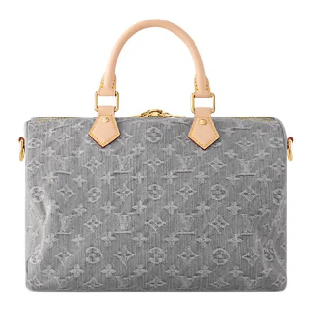LOUIS VUITTON Speedy Soft 30