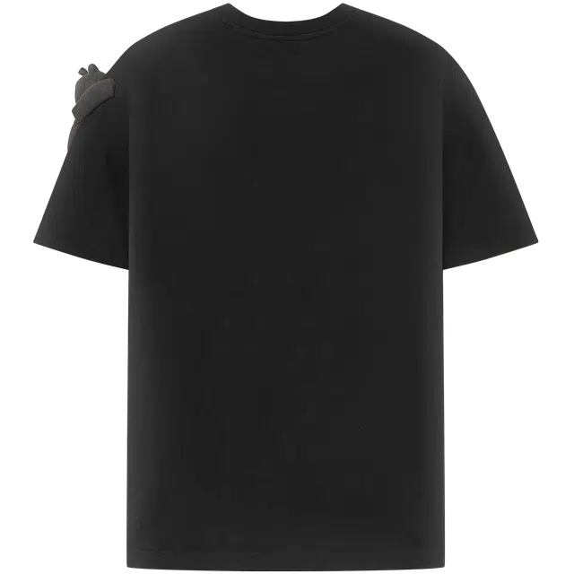 NOISY TEDDY T