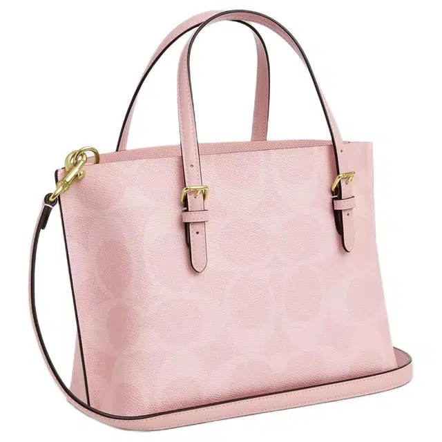 COACH Mollie 25 Tote
