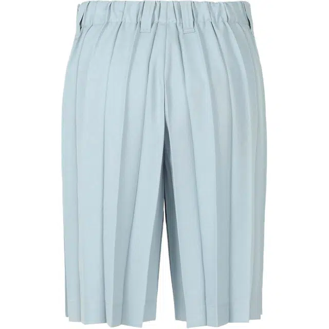 Homme Pliss Issey Miyake