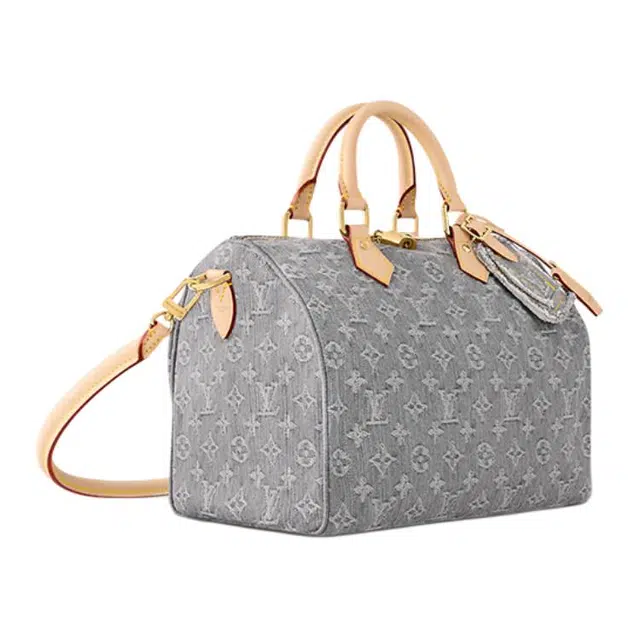 LOUIS VUITTON Speedy Soft 30