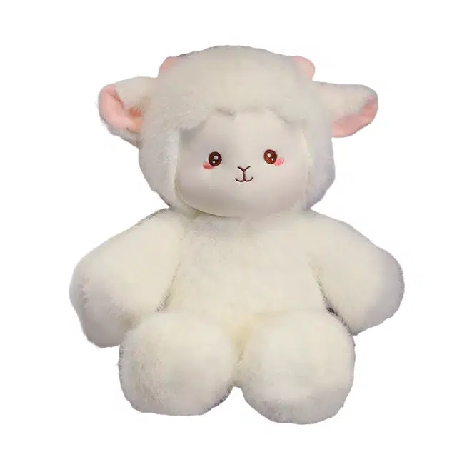 CANEXT 45cm